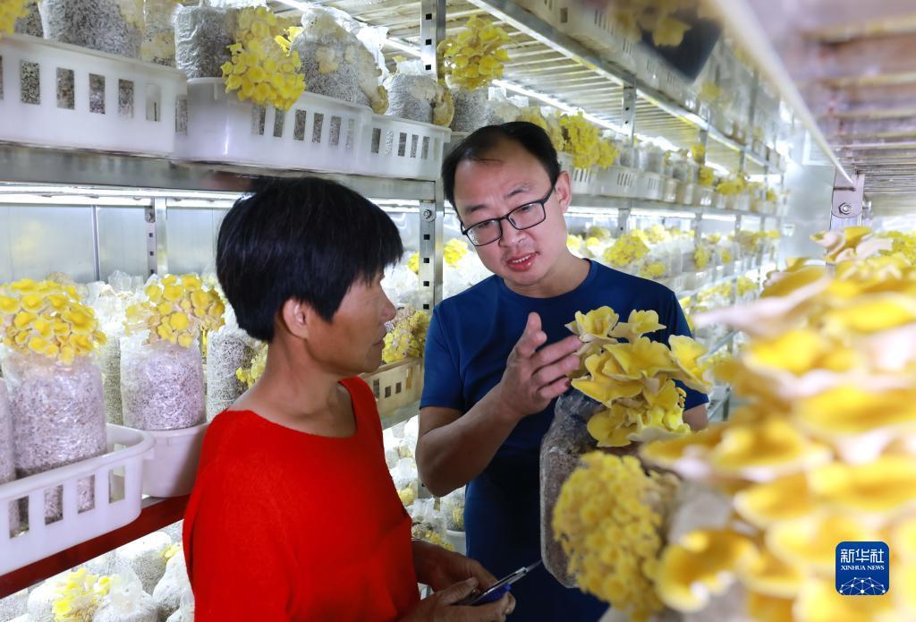宝博体育官网登录